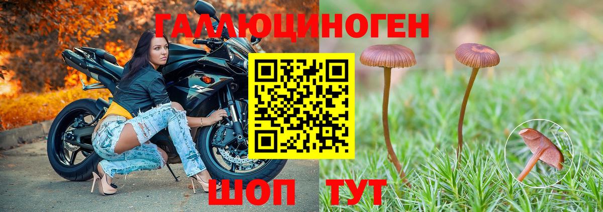 Псилоцибиновые грибы Psilocybine cubensis  Вход с VPN  Фрязино 